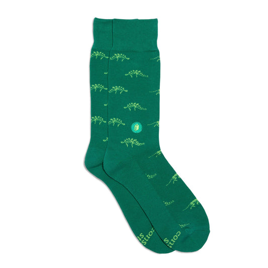 Socks that Give Books (Green Dinosaurs)