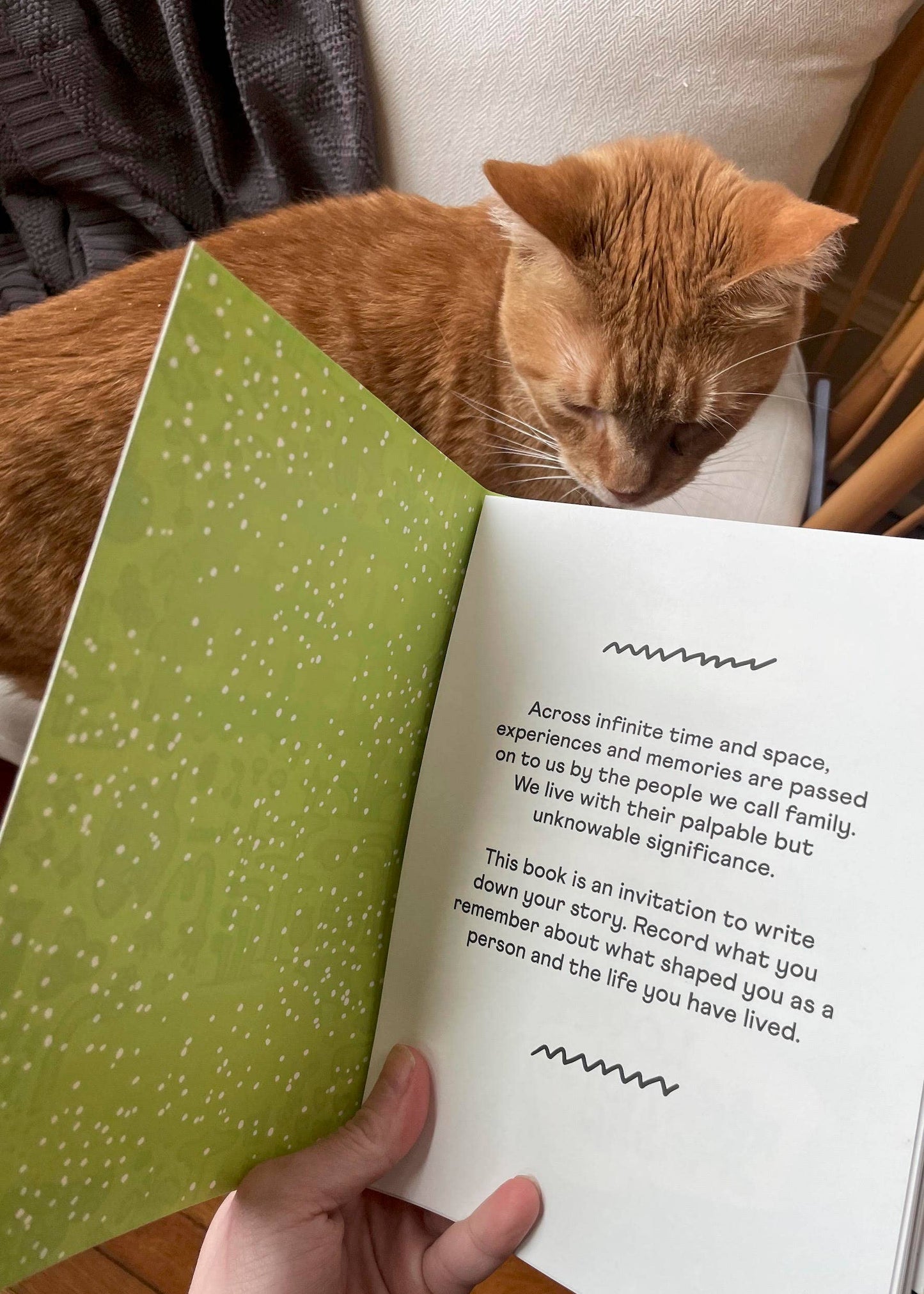 Stories We Tell Guided Journal by People I've Loved