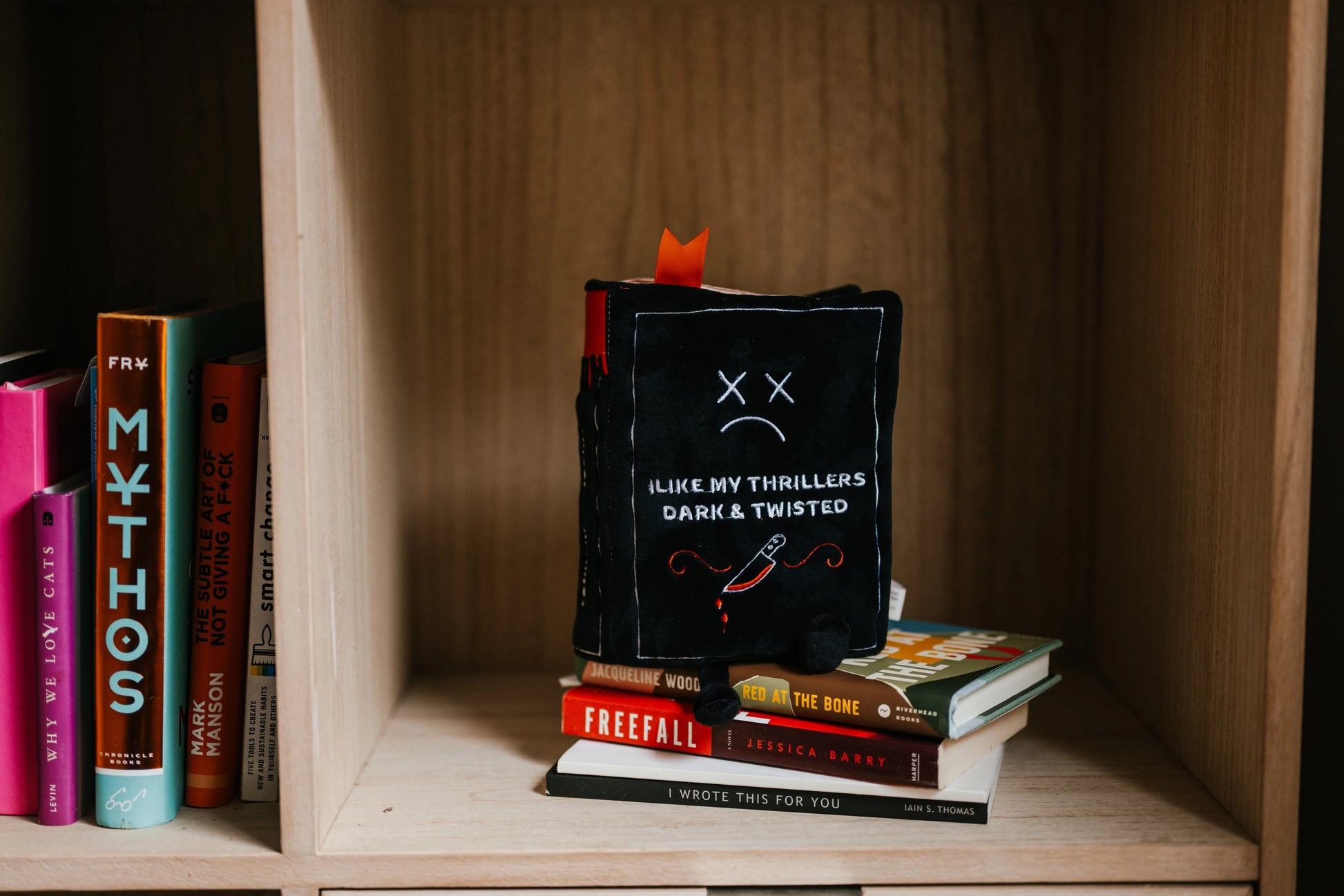 Stack of books on a wooden shelf with a plush toy resembling a book cover.