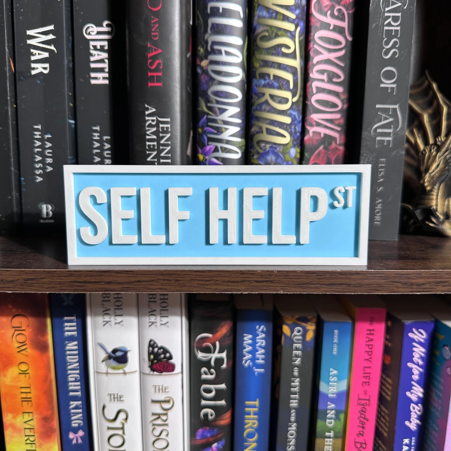 Bookshelf Street Sign