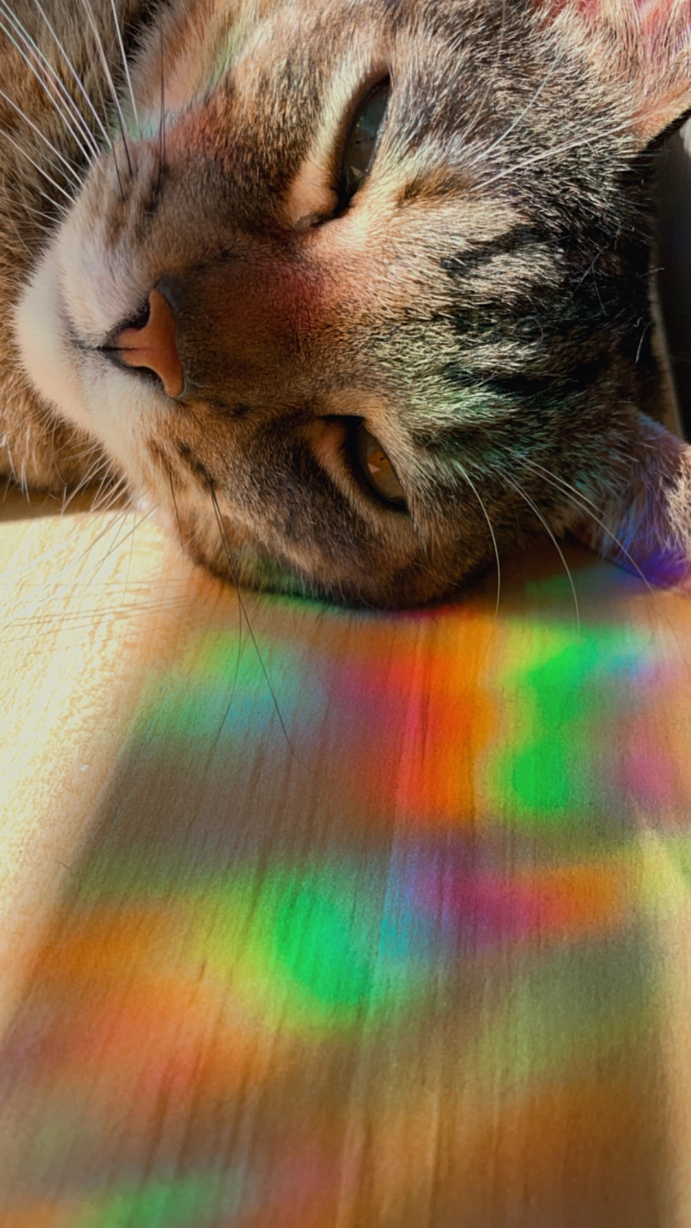 Rainbow-Making Suncatcher