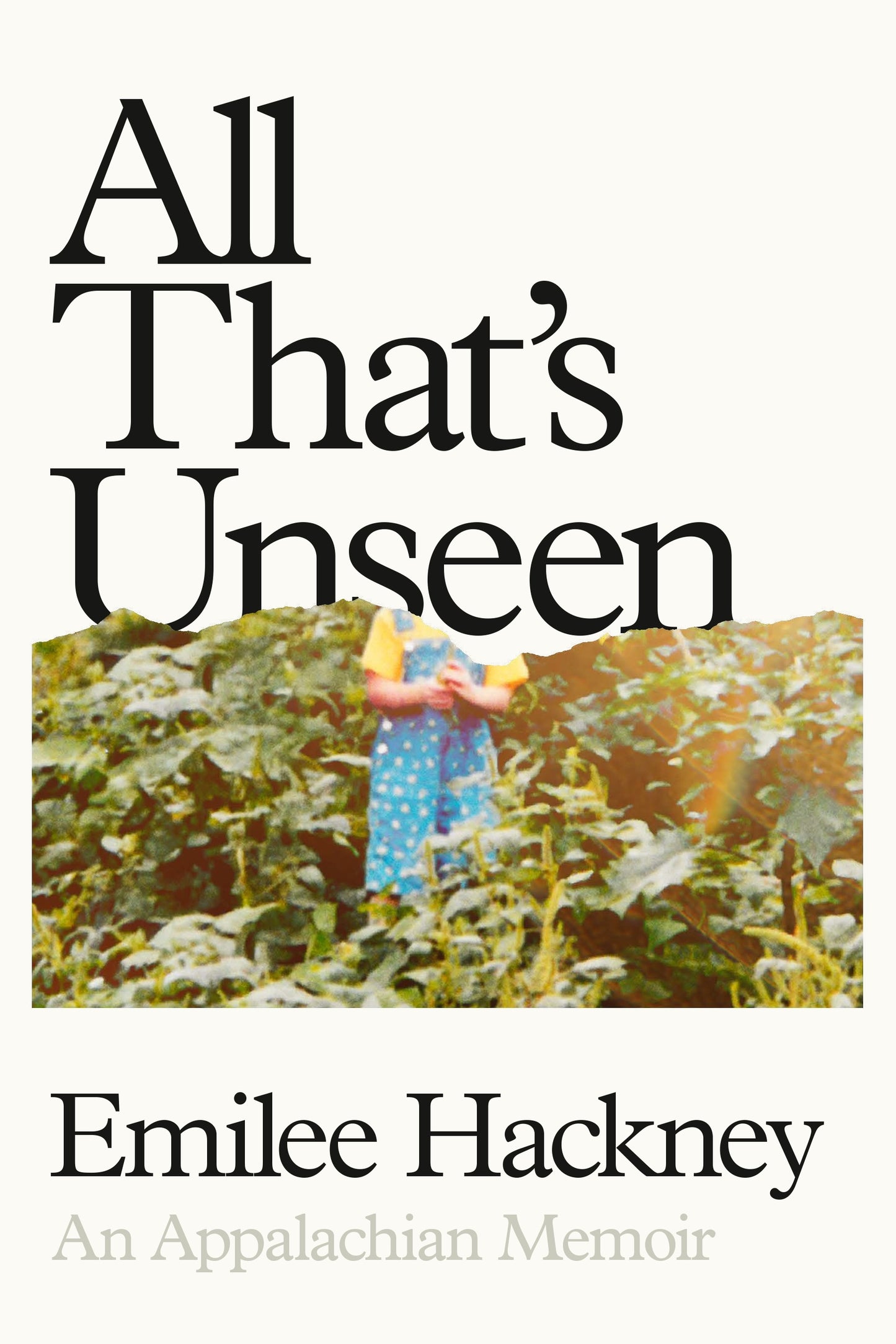 All That's Unseen: An Appalachian Memoir