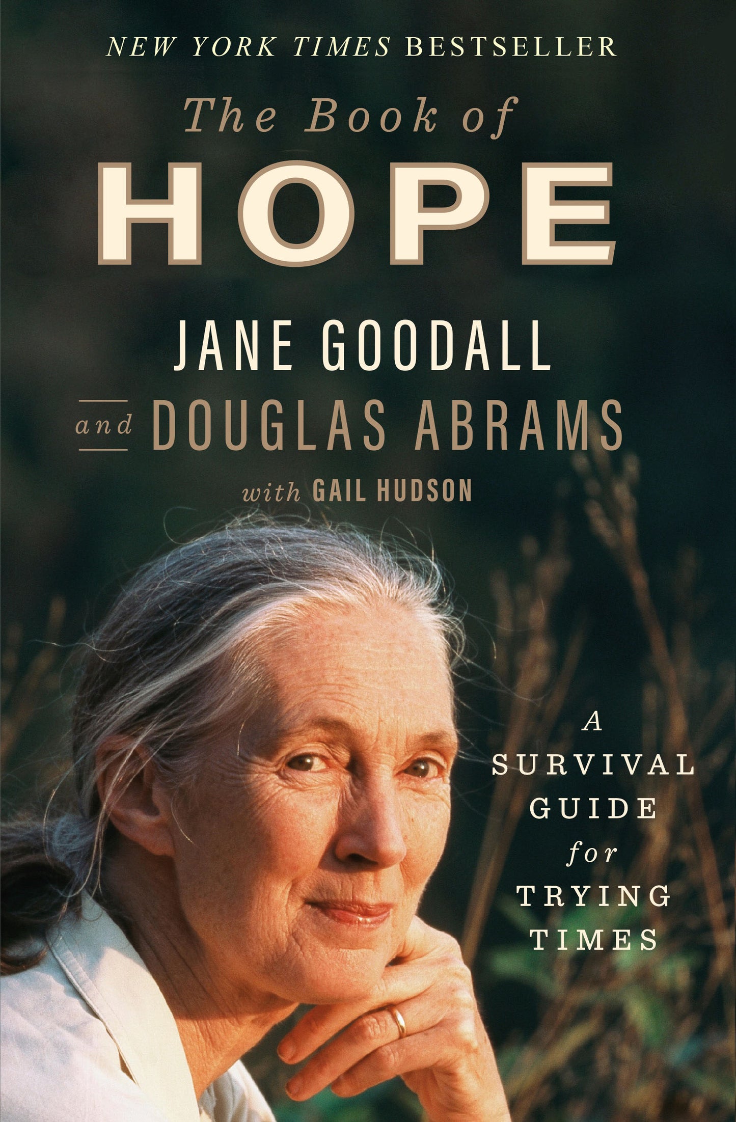 The Book of Hope: A Survival Guide for Trying Times  (Global Icons)