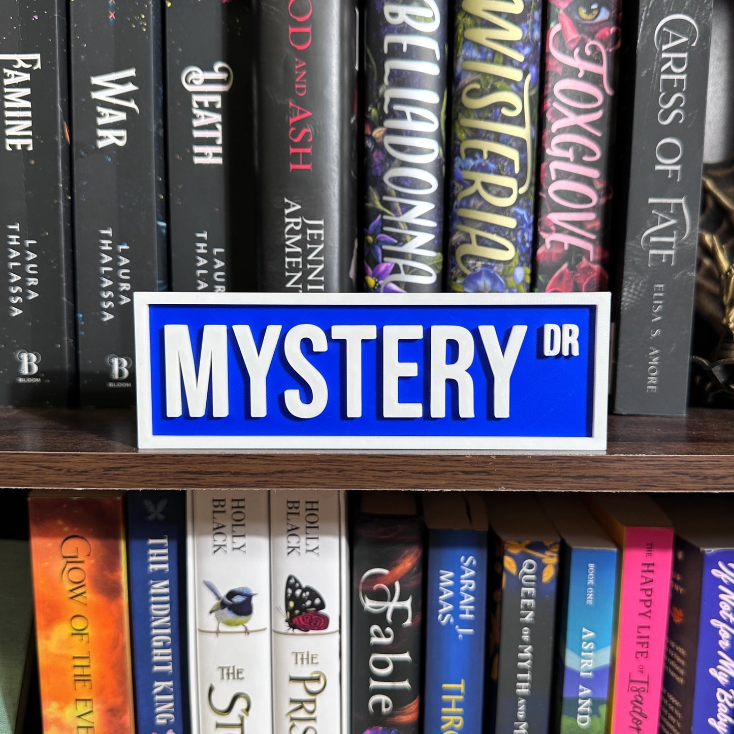 Bookshelf Street Sign