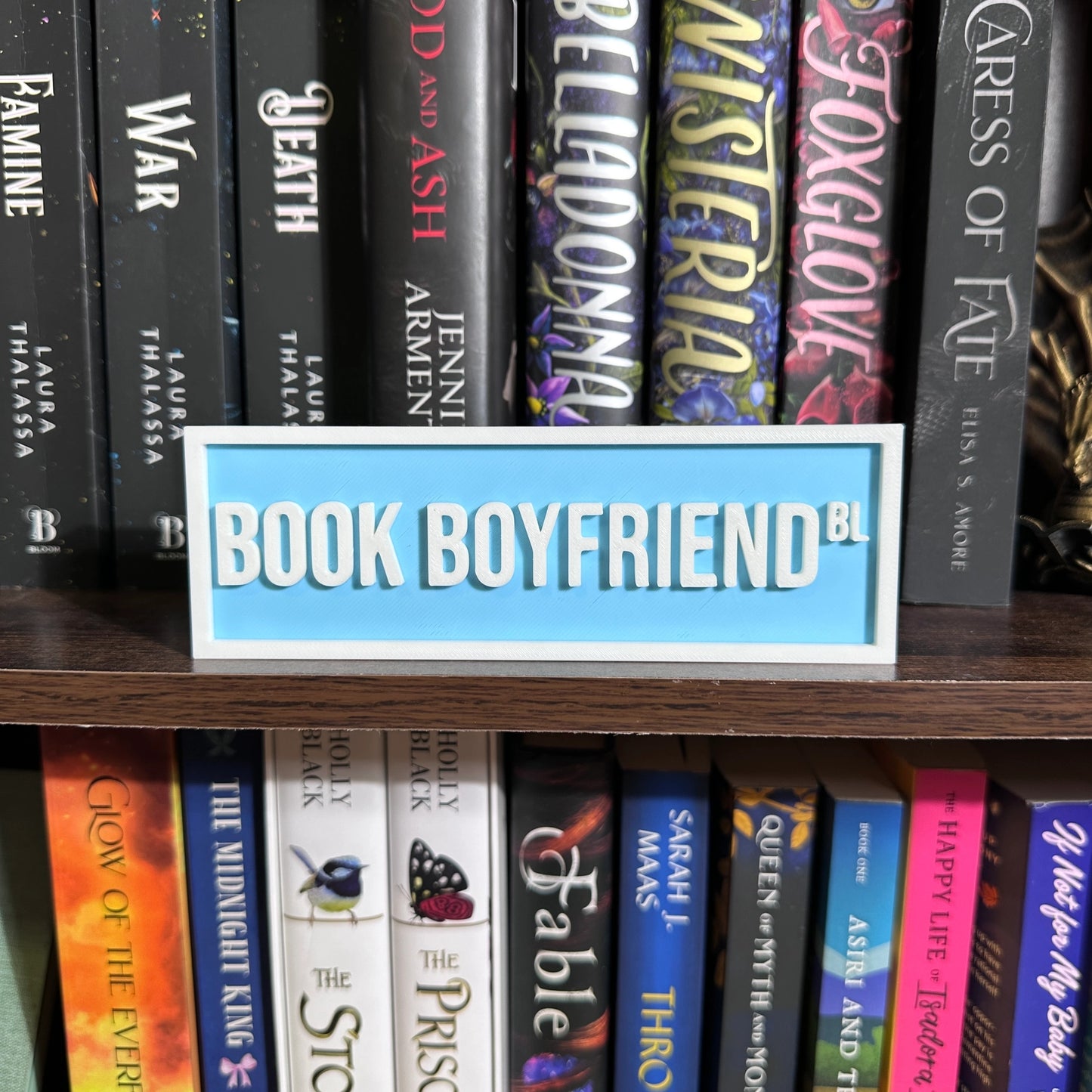 Bookshelf Street Sign