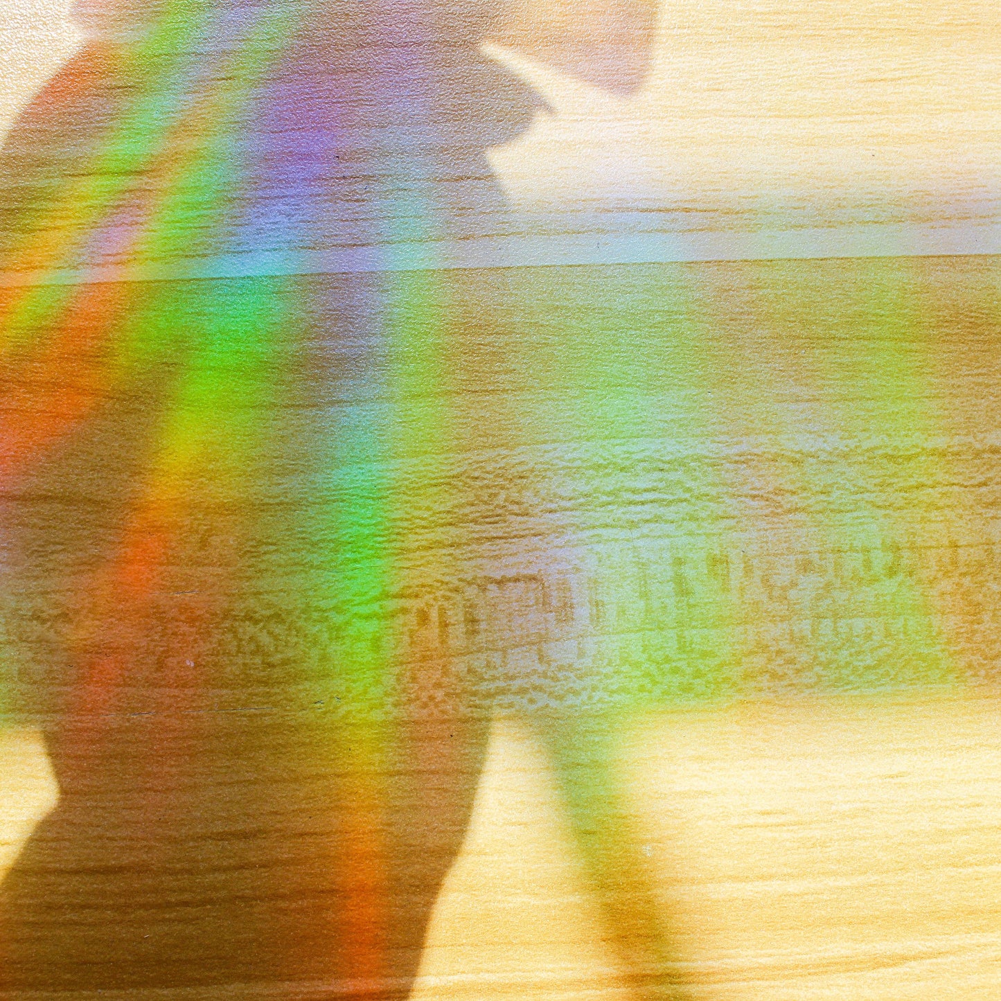 Rainbow-Making Suncatcher