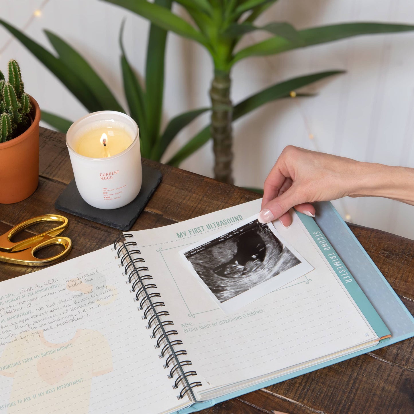 Person holding an open book with an ultrasound photo on a wooden table with a candle and plants in the background.